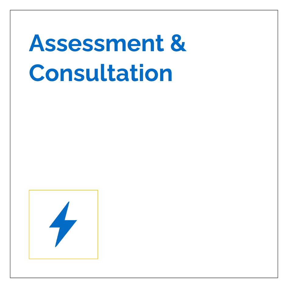 Assessment & Consultation