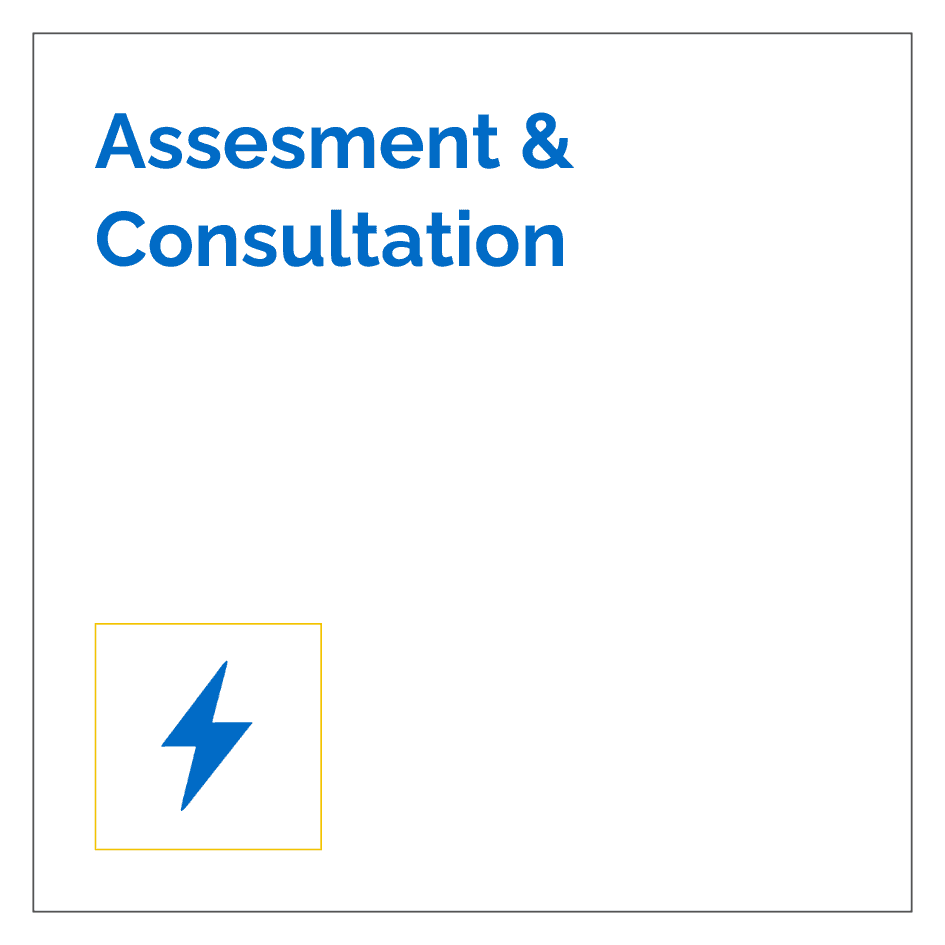 Assessment & Consultation