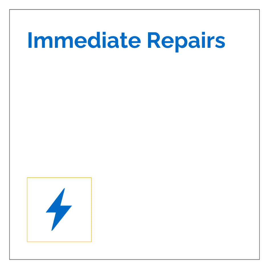 Immediate Repairs